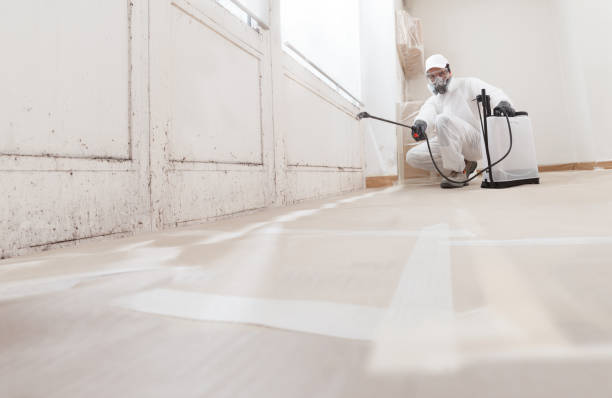 24/7 Emergency Bathroom Mold Removal experts in Stevensville, MI